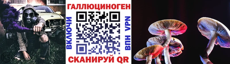 omg сайт  Владимир  Псилоцибиновые грибы GOLDEN TEACHER 